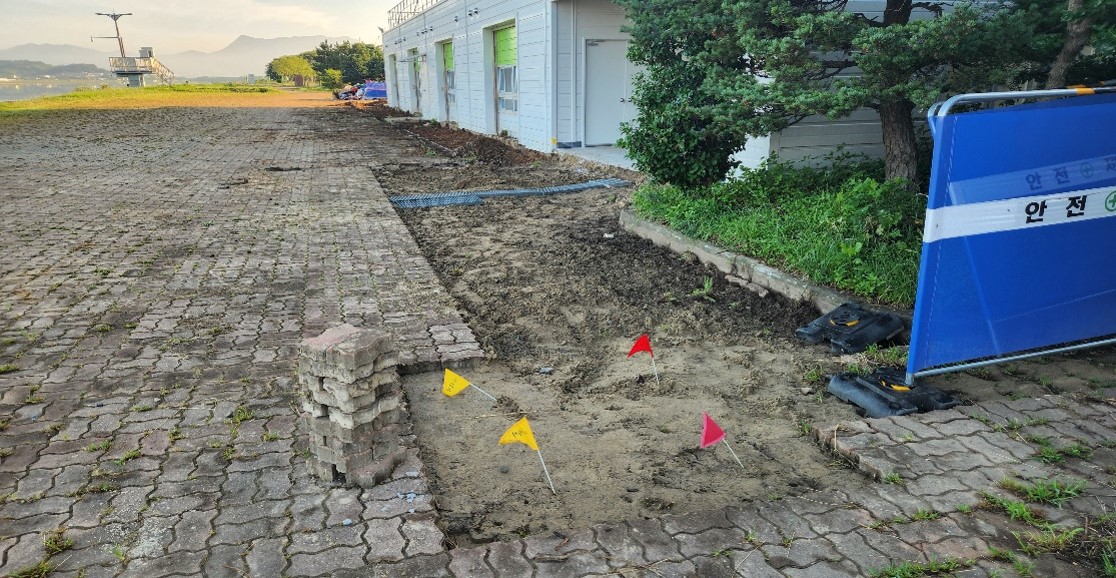 돈나무,산철쭉 굴취2